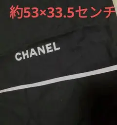 値下げ!CHANEL★商品購入時の付属品、巾着