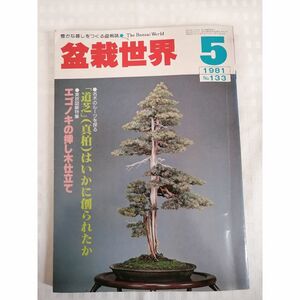 盆栽世界　1981年5月 no.133 [雑誌]