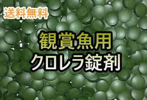 【送料無料】クロレラ　錠剤　約20粒　　　　　　　（検：ミジンコ、金魚、メダカ、クロレラ、餌、ゾウリムシ　プレコ