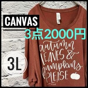 【 CANVAS 】 古着 半袖 Tシャツ アメカジ 3L ブラウン 2XL メンズ　レディース　ヴィンテージ　大きいサイズ　古着　US古着　アメカジ