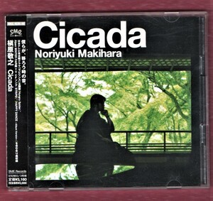 ∇ 槇原敬之 初回盤 8㎝付 2枚組 CD/シカーダ Cicada/STRIPE! HAPPY DANCE ドラマ ラビリンス 主題歌 Hungry Spider 収録/Thunder Babies