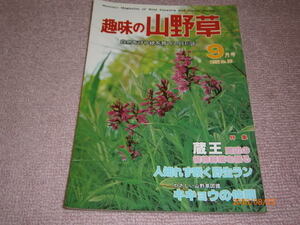 ｄ8■趣味の山野草1982年９月蔵王の植物、キキョウ、キクイモ、タカブシギ、ハクサンチドリ他