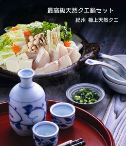 和歌山産 最高級天然クエ鍋セット【2～3人前】【送料無料】紀州の極上天然クエ使用