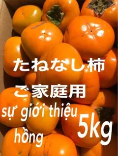 和歌山県産　たねなし柿　5kg8