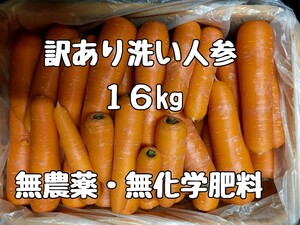 【訳あり】洗いニンジン　16キロ【無農薬・無化学肥料栽培】①