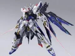 METAL BUILD メタルビルドストライクフリーダムガンダム2024