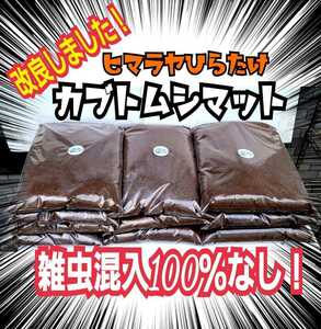 【10袋セット】国産カブトムシに抜群！栄養添加剤入り 改良版！発酵マット　幼虫が丸々太る！産卵にも！室内製造！雑虫、コバエの混入なし