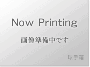 ABランク 本間ゴルフ TW-S 2021年モデル ホワイト 200個セット ロストボール