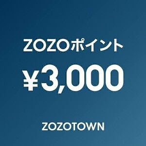 3,000ポイント ZOZOポイント チケット ZOZOTOWN（検索用無料クーポン引換券ゾゾタウン