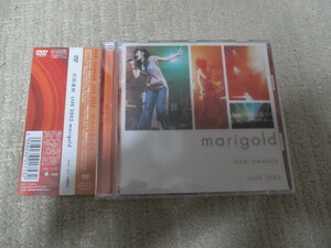 ◇浜田麻里/LIVE 2002 marigold◇帯付き　ライヴDVD　ブルー・レボリューション　tomorrow 送185