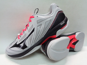 27cm ミズノ MIZUNO ウエーブエクシード4 WIDE CS カーペットコートタイプ 新品