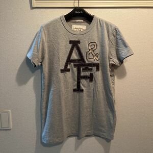 Abercrombie&Fitch 半袖Tシャツ グレー L