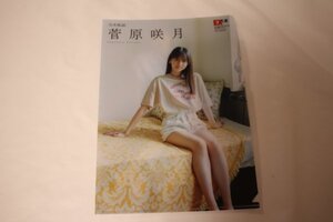 菅原咲月 乃木坂46 クリアファイル