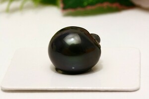 タヒチ黒蝶真珠パールルース　両穴　15×13mm　ブラックカラー