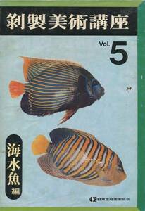 ●送料無料●　剥製美術講座　VOL5　海水魚編