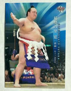 正規品■新品未使用 BBM大相撲カード　稀勢の里　横綱