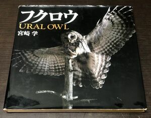 送料込! フクロウ ural owl 宮崎学 平凡社 1991年 フルカラー 図録 希少 (Y37)