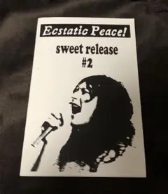 Sonic Youth 「Ecstatic Peace!」 ZINE