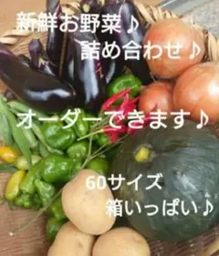 新鮮 お野菜 詰め合わせ ♪  60サイズ 箱いっぱい(*^^*)♪