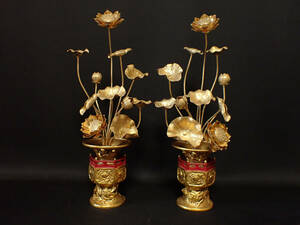 【近】時代 真鍮製 純金鍍金 11本立 常華・常花 一対 28cm 仏教美術 仏具