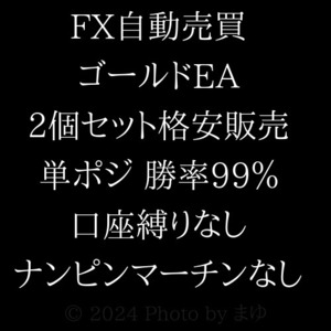 特価セールFX自動売買☆2個詰め合わせ☆GOLD ゴールド XAUUSD☆AIゴールド 最強ゴールド