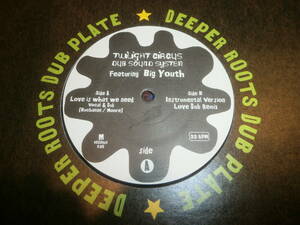 TWILIGHT CIRCUS DUB SOUND SYSTEM Featuring BIG YOUTH / LOVE IS WHAT WE NEED /NEW ROOTS/10インチ