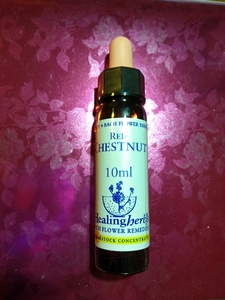 25.レッドチェスナットRed Chestnutフラワーエッセンス☆Healing Herbs Flower Essence♪ニールズヤード10ｍｌ入りレッドチェストナット