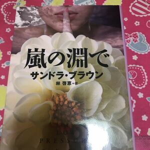 嵐の淵で　サンドラ・ブラウン　集英社文庫