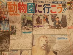 新聞.記事切抜[動物園に行こう！パンダ来日から50年祝/園長 飼育員 広報担当などが教えてくれた「ウチの推し動物」]日刊スポーツ/2022.11.8