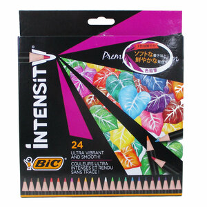 送料無料 色鉛筆 Intensity 24色 Bicジャパン ITS-WDCCPPK24/1325ｘ３個セット/卸