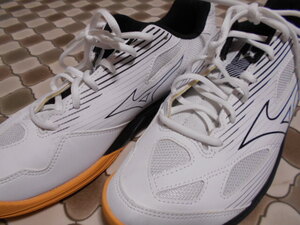 MIZUNO　CYCLONE SPEED4ミズノ　サイクロンスピード4　バレーボールシューズ　白黒シルバー29㎝　PYV0723　V1GA238054