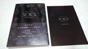 □　河村隆一　【　単行本 VOICE♪帯付き初版 CD付き　+　ミニ写真集♪　美品♪　】