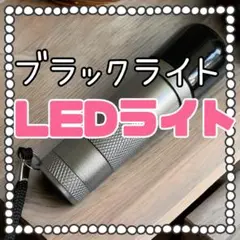 LEDライト ブラックライト 単４電池式 新品未使用 小型 ハンディ 懐中電灯