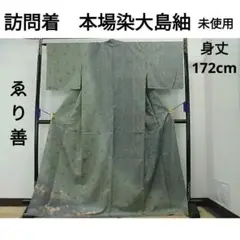 長身　訪問着　本場染大島紬　霞草花文　金彩　ゑり善扱い　逸品　未使用　撫子　桔梗