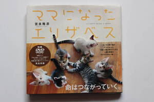 猫の本 「ママになったエリザベス」DVD付き 宮良隆彦 サンクチュアリ出版