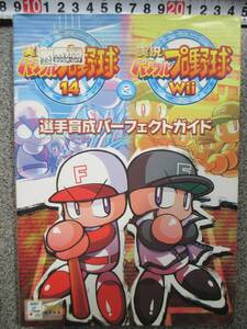 実況パワフル プロ野球14＆実況パワフル プロ野球 Wii　選手育成パーフェクトガイド 定価1500円＋税 2007年発行 中古品 カバーに汚れ有