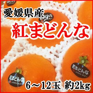 【Good】大量20箱出品中！高級柑橘！柑橘王国・愛媛産『紅まどんな』6～12玉 約2kg ご予約