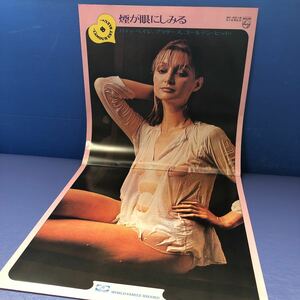 恋はみずいろ＊ベスト・ポピュラー120 第8集 煙が眼にしみる 美女 セクシージャケ LP 見開きジャケット 5点以上落札で送料無料N