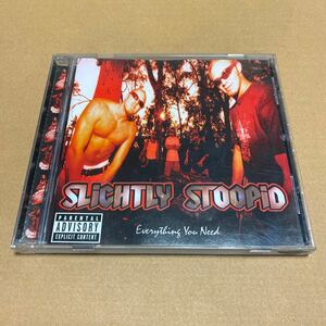 中古CD★EVERYTHING YOU NEED/SLIGHTLY STOOPID（サブライム　島唄）