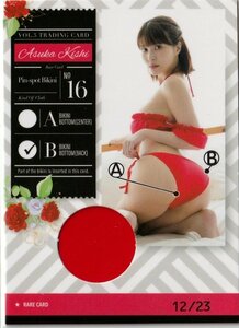 【岸明日香5】12/23 ピンスポビキニカード16(パンティバック) トレーディングカード
