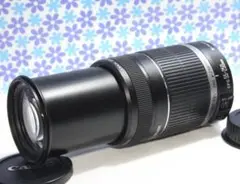 極美品❤️Canon EF-S 55-250mm IS❤️望遠ズーム❤️手振れ補正❤️