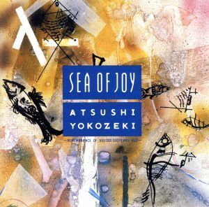 SEA OF JOY/横関敦