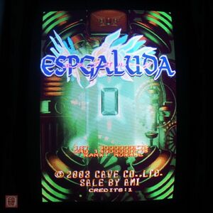 1円〜 ケイブ/CAVE エスプガルーダ ESPGALUDA 電池交換済 イン取帯純正 ポップ付き 動作確認済【20