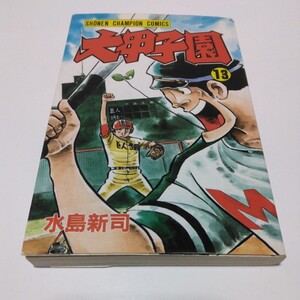 水島新司　大甲子園　13巻（再版）少年チャンピオンコミックス　秋田書店　当時品　保管品