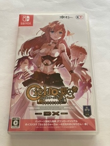 Switchソフト　シェルノサージュ ~失われた星へ捧ぐ詩~ DX　中古