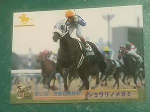 96上半期　040　ショウリノメガミー　サラブレッドカード　重賞馬