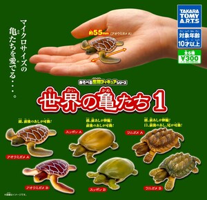 即決》あそべる生物フィギュアシリーズ 世界の亀たち１【全６種フルコンプセット】送料140円～新品未開封 アオウミガメ/スッポン/ワニガメ