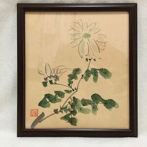 淡彩 菊 肉筆 絹本色紙 骨董 日本画 真作