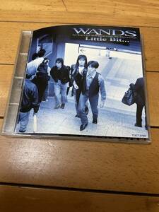 WANDS ワンズ/Little Bit… 3rd(1993年)