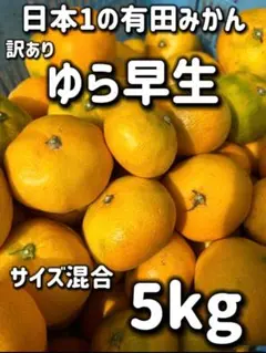 日本1の有田みかん ゆら早生 5kg サイズ混合 和歌山県産 極早生 みかん